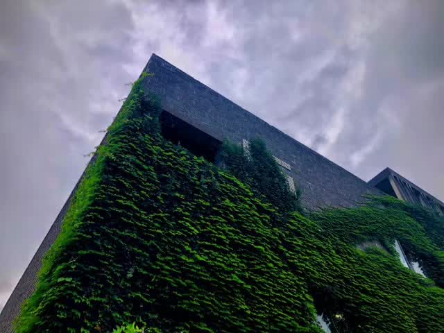 微信图片_20180601220525.jpg