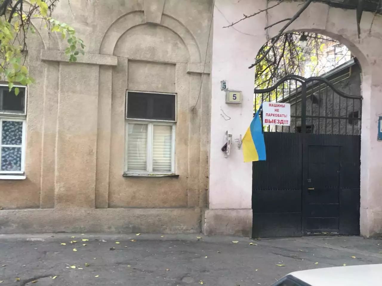 5.jpg