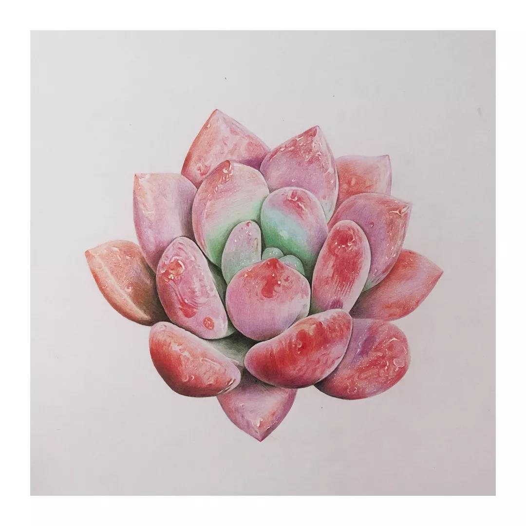 微信图片_20190624210058 - 副本.jpg