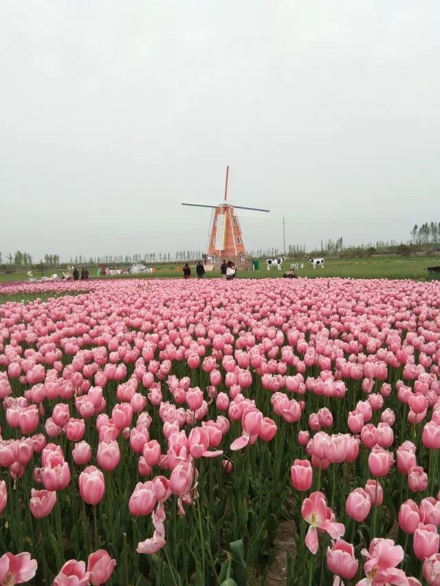 微信图片_20180417222537.jpg