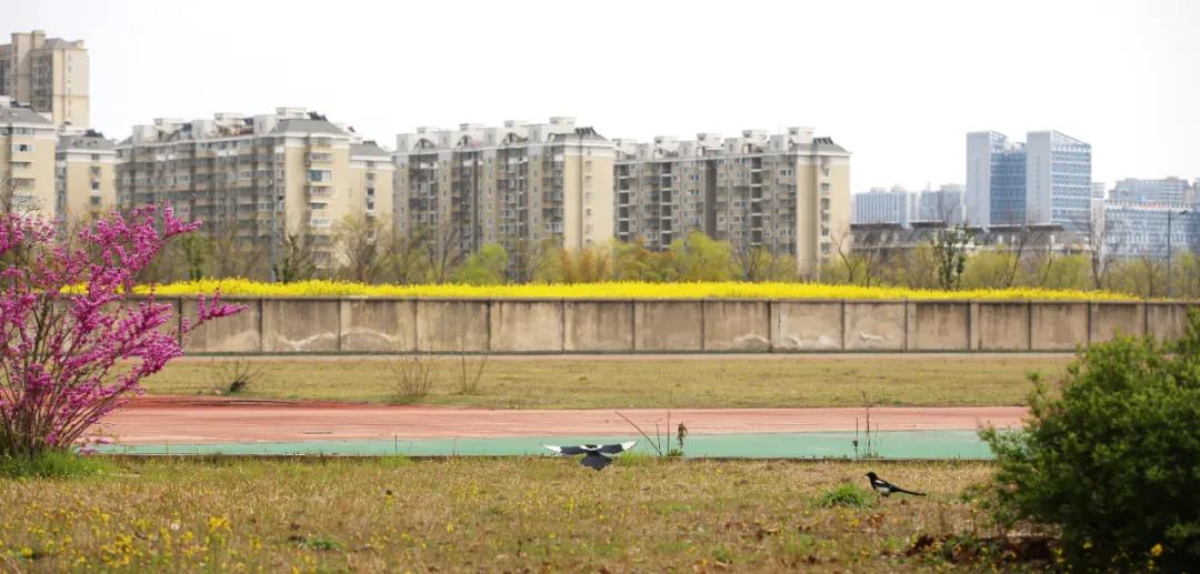 微信图片_20200325211659.jpg