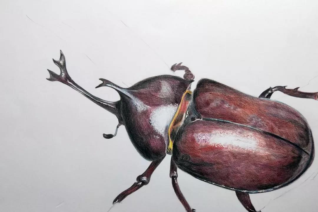 微信图片_20190624205931 - 副本.jpg