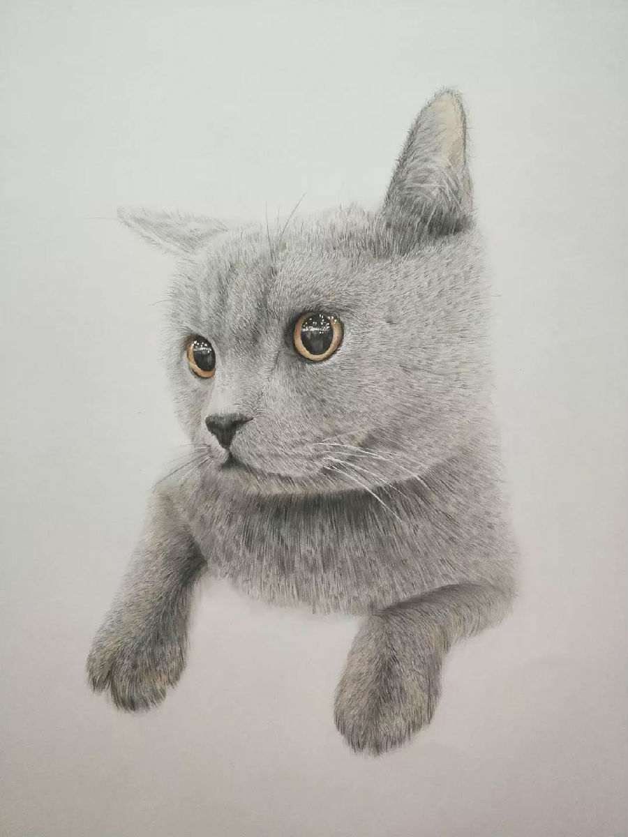 微信图片_20190624210027 - 副本.jpg